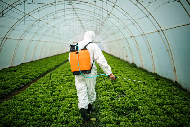 Pest Control for Restaurants in East Milton, FL