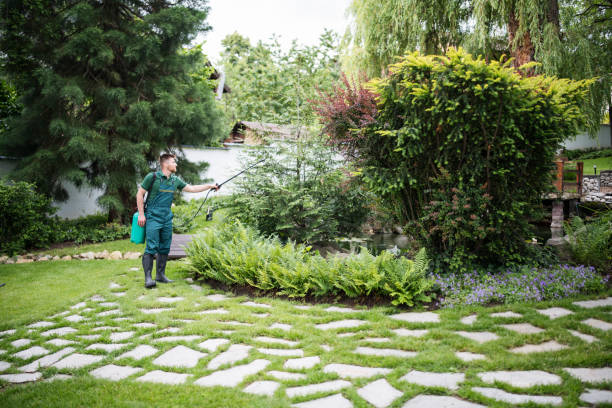 Best Affordable Pest Control Services  in East Milton, FL