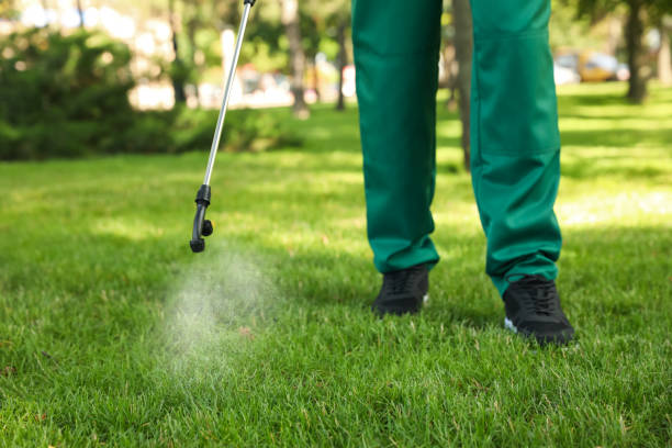 Best Bird Control  in East Milton, FL