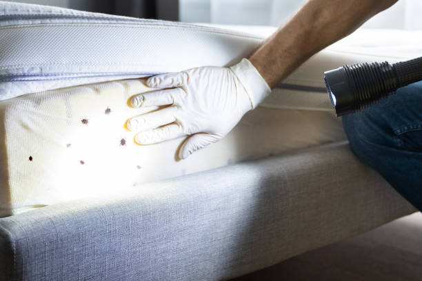 Best Pest Control Near Me  in East Milton, FL