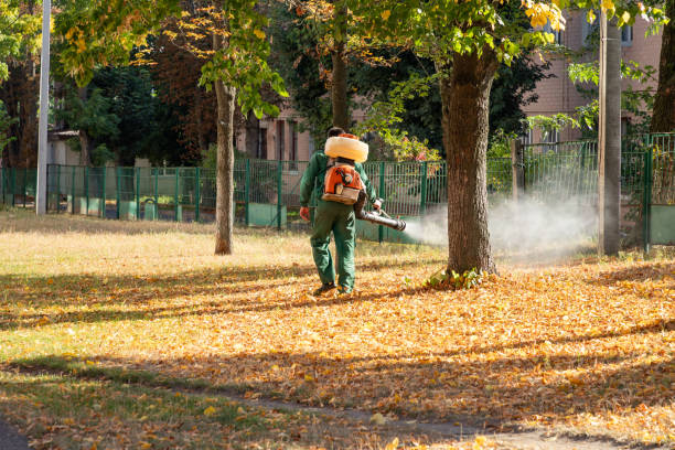 Best Emergency Pest Control  in East Milton, FL