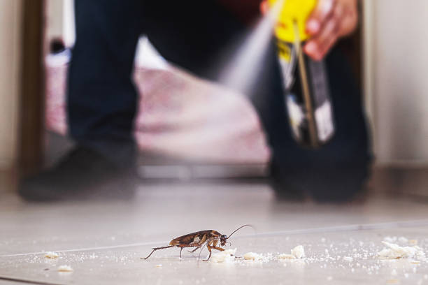 Best Affordable Pest Control Services  in East Milton, FL
