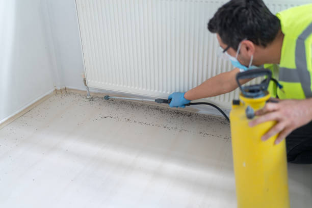 Best Termite Control Services  in East Milton, FL