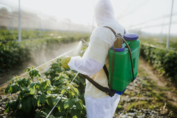 Best Affordable Pest Control Services  in East Milton, FL
